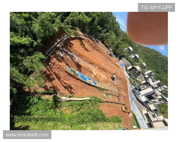 深入了解凯发建筑工程有限公司的项目管理流程与高效施工保障措施